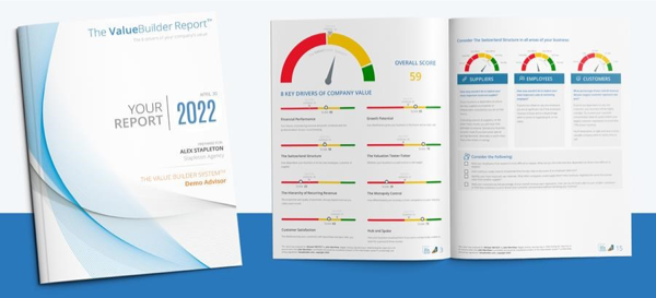 Value Builder Report Graphic Switzerland Structure 600x273